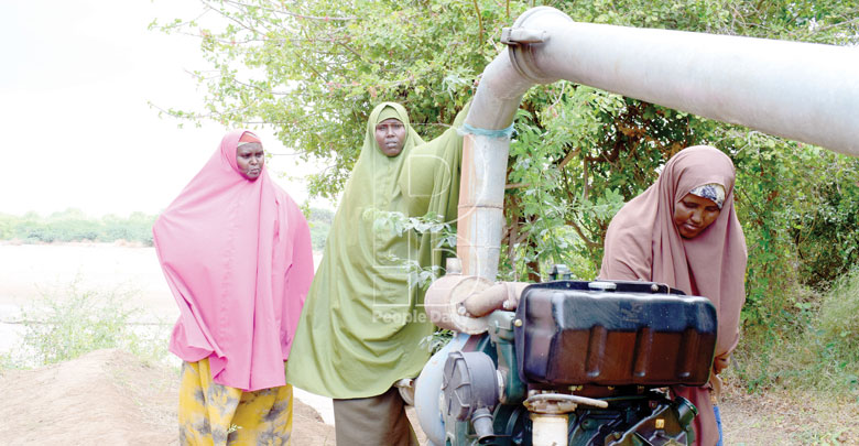 How community is turning arid land into productive farms in Fafi