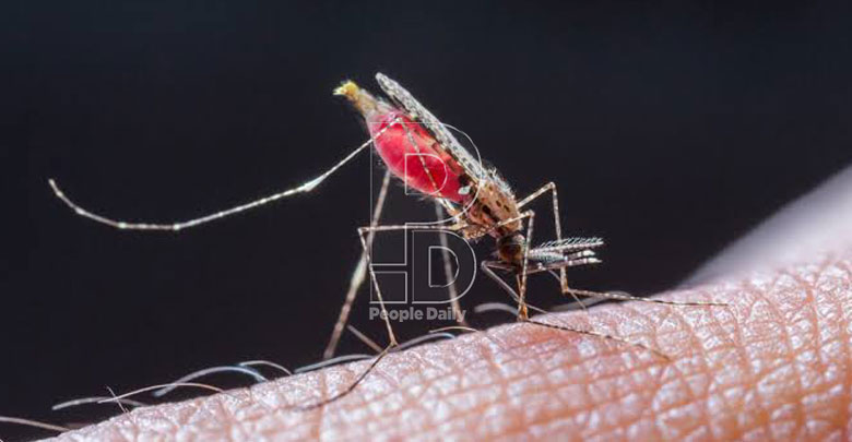 Ending malaria key to fixing iron deficiency