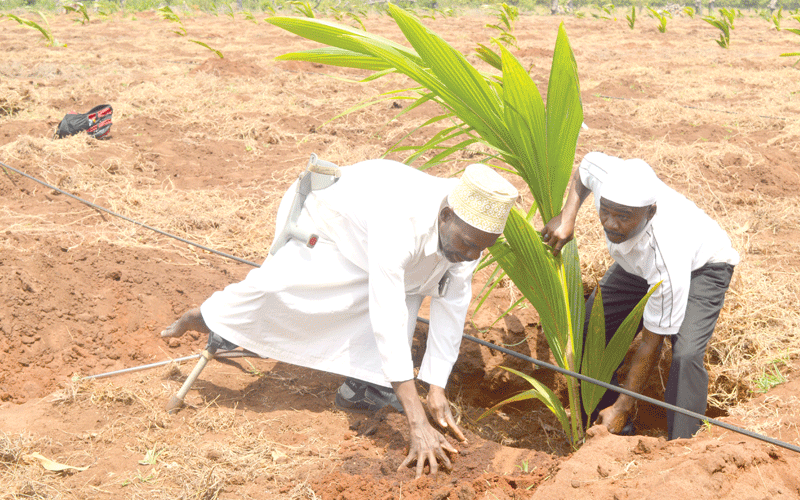 Coconut farmers get boost as Munya unveils Sh100m fund