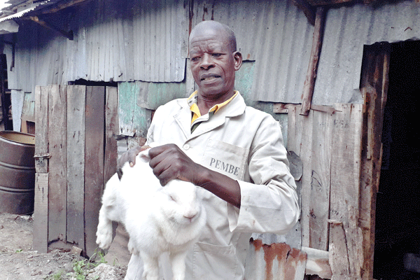 City rabbit king, Francis Wachira, 70, goes organic