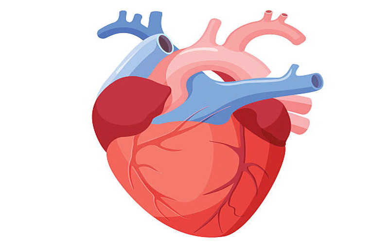 Ten matters of the heart
