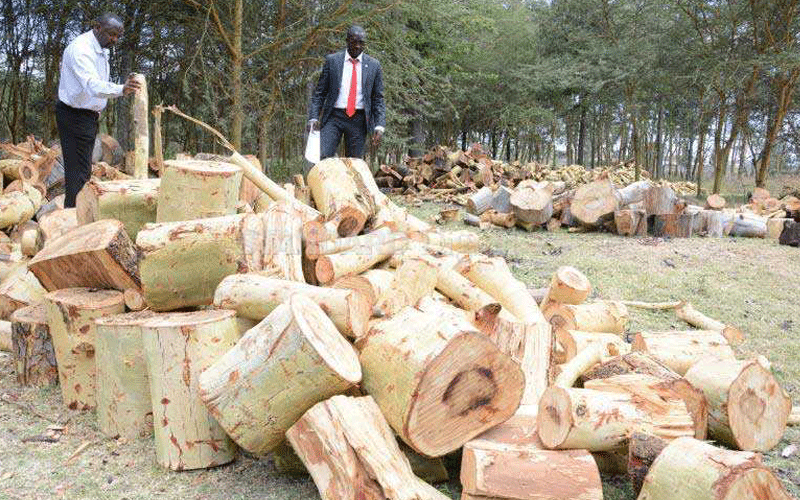 National Assembly roots for forest logging ban lifted