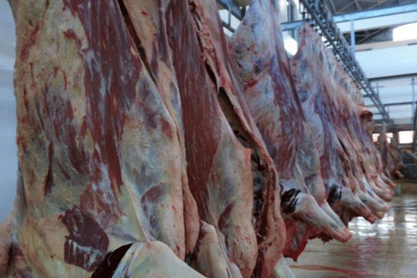 Relief for farmers as Kuwait, Bahrain lift ban on local meat