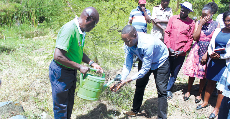 Conservation: Rehabilitation of Akara Hills takes centre stage