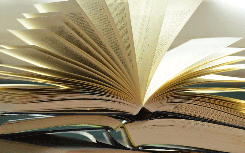Ten great African contemporary writers