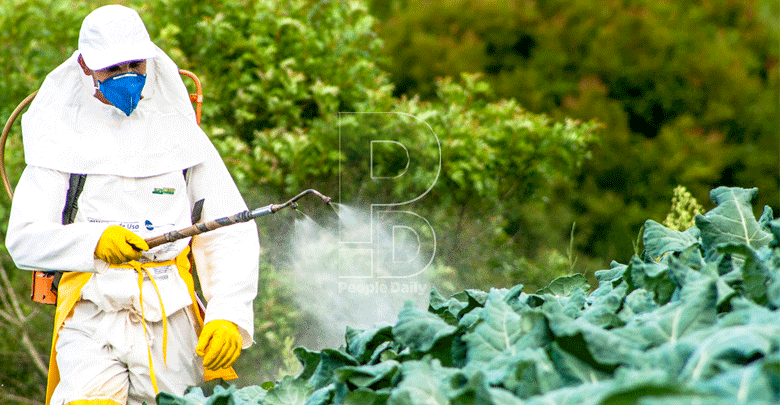 Why Kenyan farmers must rethink pesticides use