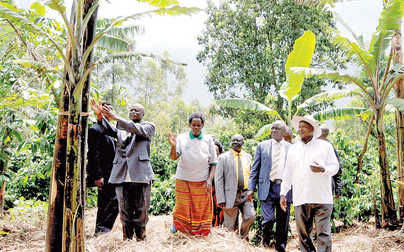 Confusion in East Africa as Museveni ditches Biotech Bill