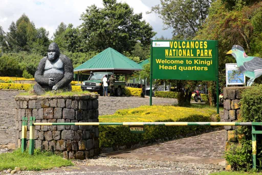 Situation normalized after deadly attack near Rwanda's Volcanoes National Park