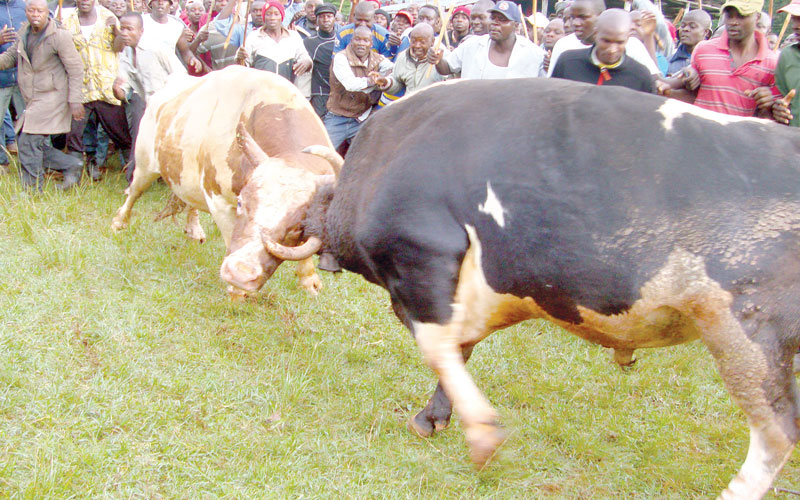 Standoff looms over plans to host pupils at Khayega grounds