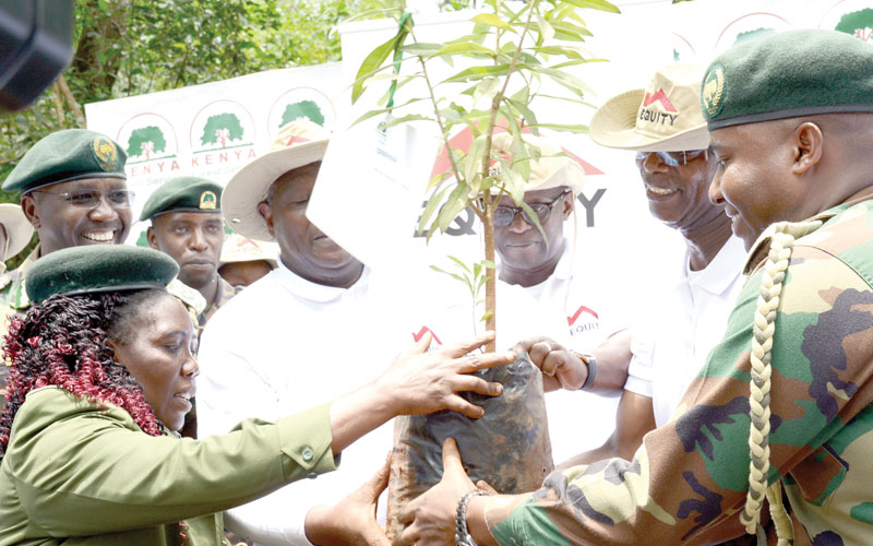 Equity partners with KFS to plant 35m trees in one year