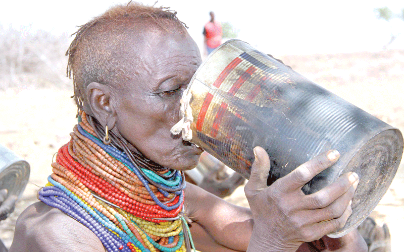 UN appeals for Sh16b to feed hungry Kenyans