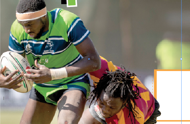 Impala Floodlit curtains come down on Saturday