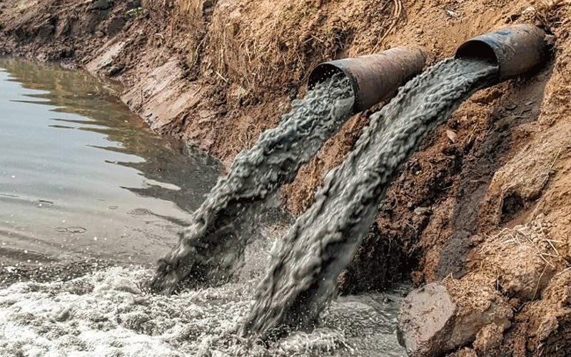 African business chiefs rooting for carbon tax to up climate resilience