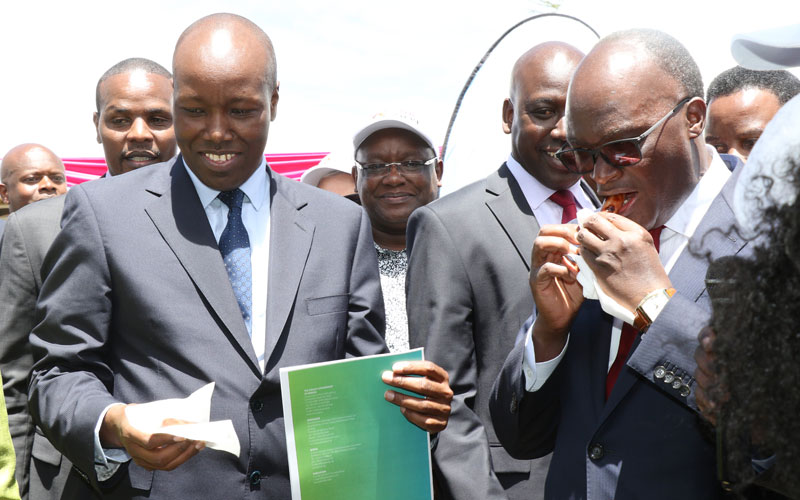 United Nations lauds Nakuru for ‘turning waste to wealth’