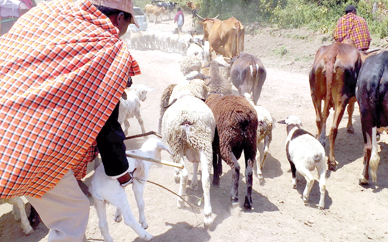 Stop brutality in Mau, lawyer tells Attorney General