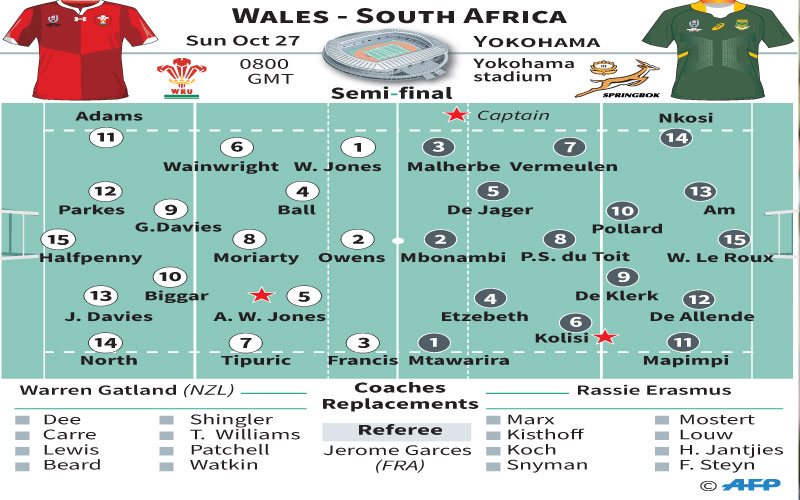 Davies warns Boks Wales want Cup revenge