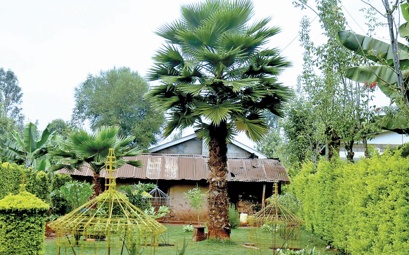Self-taught landscaper confounds villagers