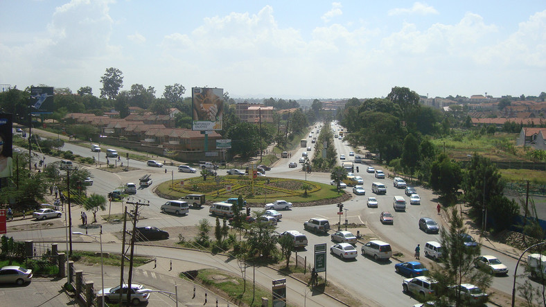 How stray hyena saved drunk driver from cops on Langata Road