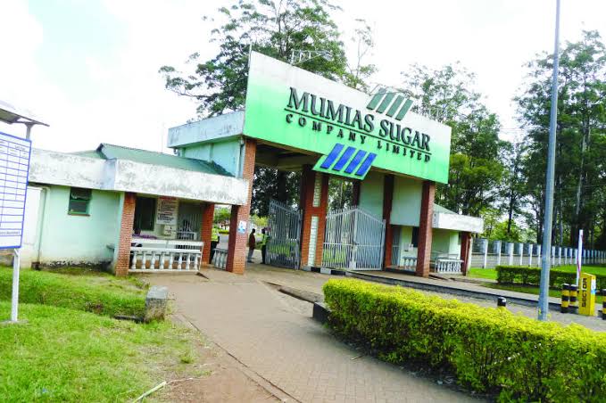 Mumias Sugar staff want Sarrai Group out