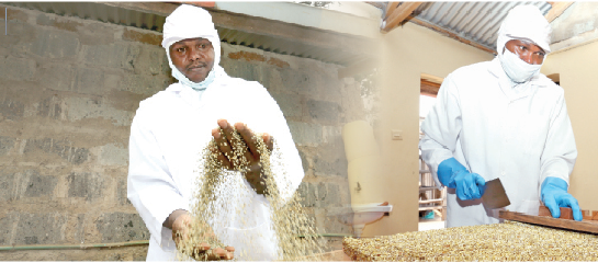 Popping grains to entice growing youth market