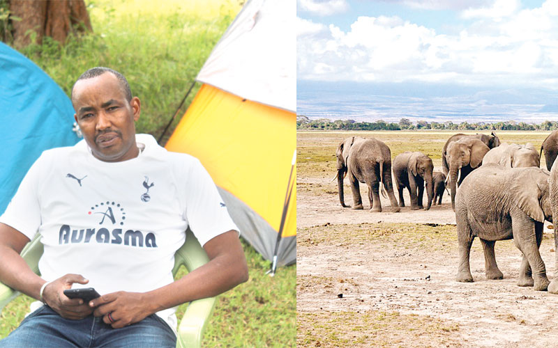 The beloved avengers of the Samburu