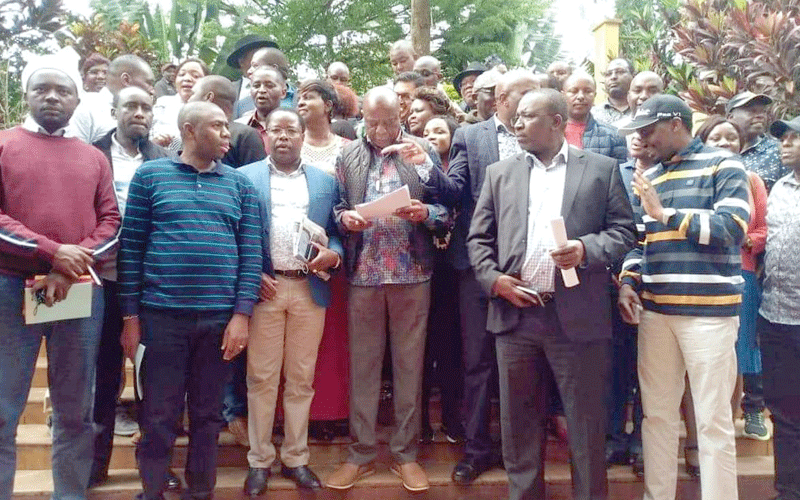 Building Bridges Initiative widens rift between Mt Kenya MPs