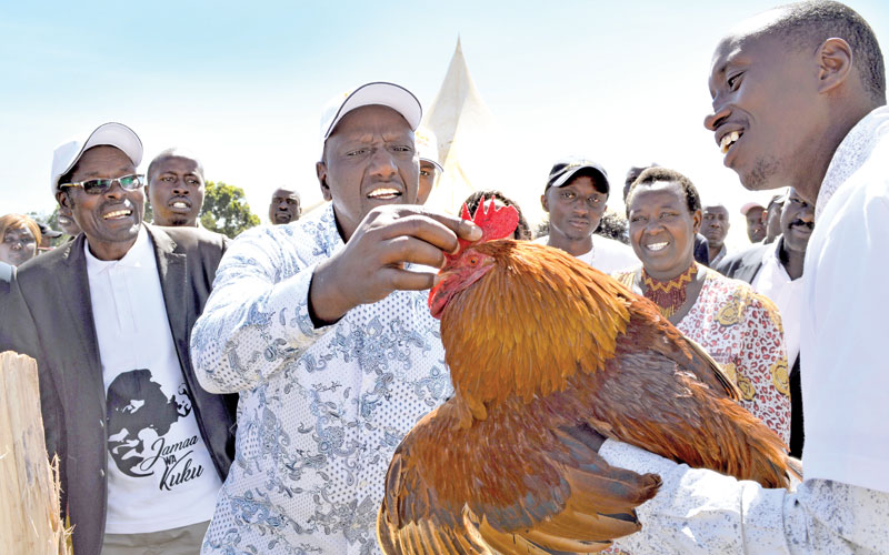 We will not desert Ruto camp, MPs declare