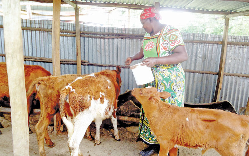 Kisumu farmers eye increased milk yields