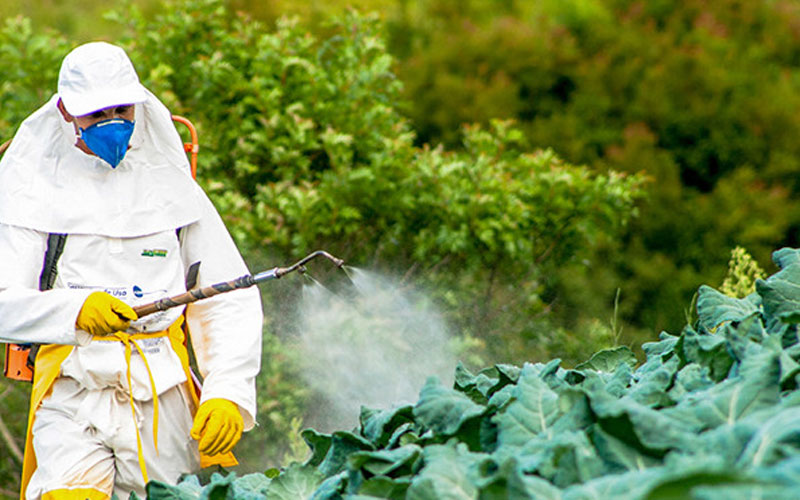 Experts raise alarm over chemical dense farm produce