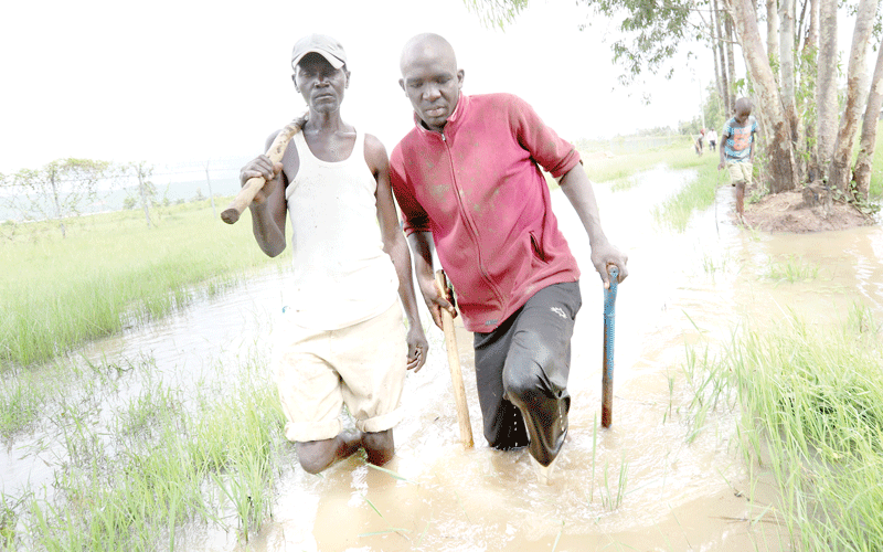 Number of families displaced by floods in Kisumu rises to 4,500