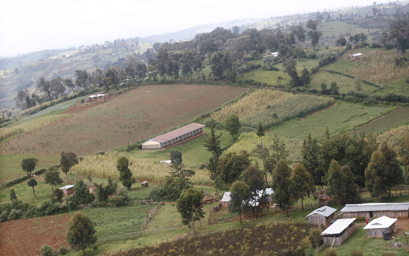 Maasai Mau evictees yet to get alternative homes, since October