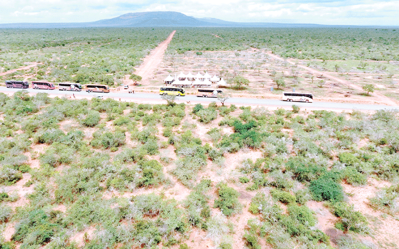 Upcountry families seek affordable land at Coast