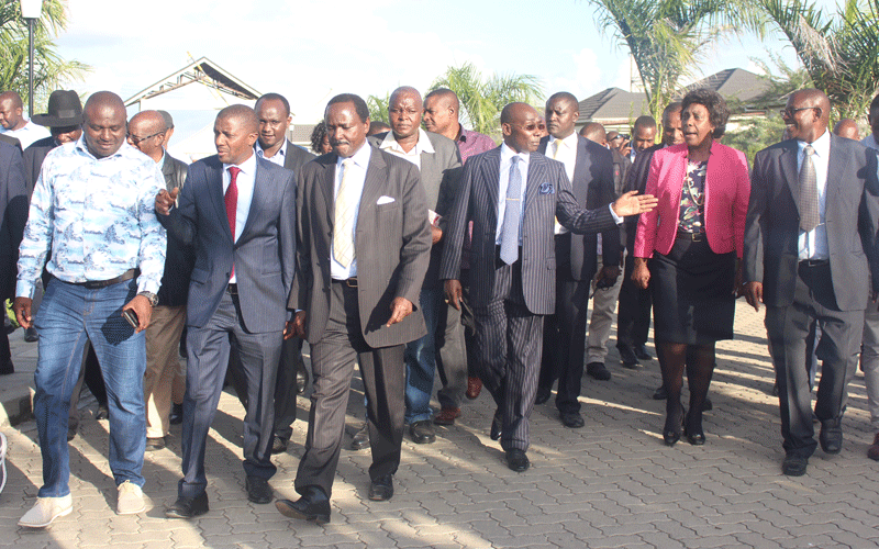 Kalonzo roots for removal of term limit for governors