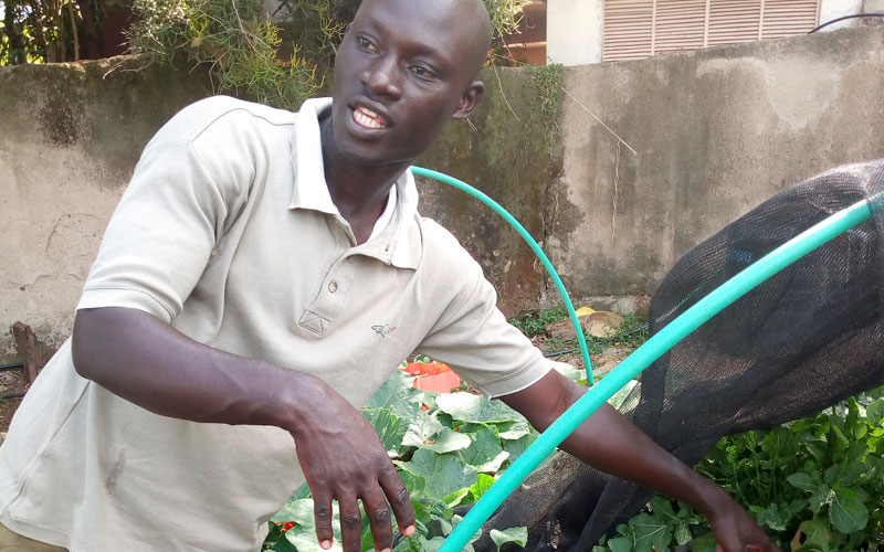 Turning stubborn water hyacinth into biogas to conserve environment