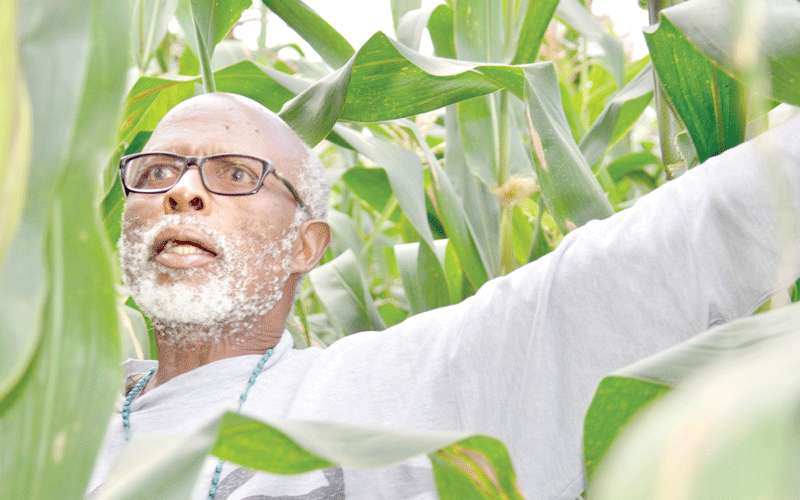Mwachofi: Fiery politician who nearly lost family to save a country