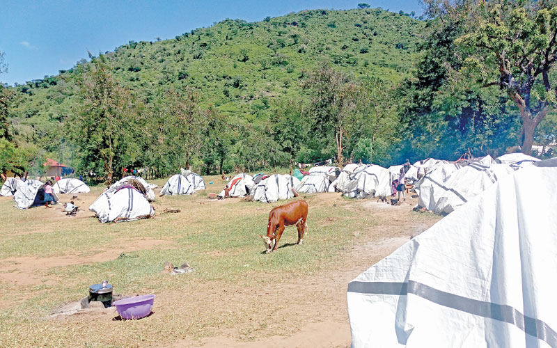 Red Cross to build Sh30m homes for West Pokot landslide victims