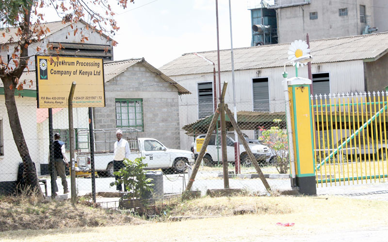 Troubled pyrethrum firm asks for bailout