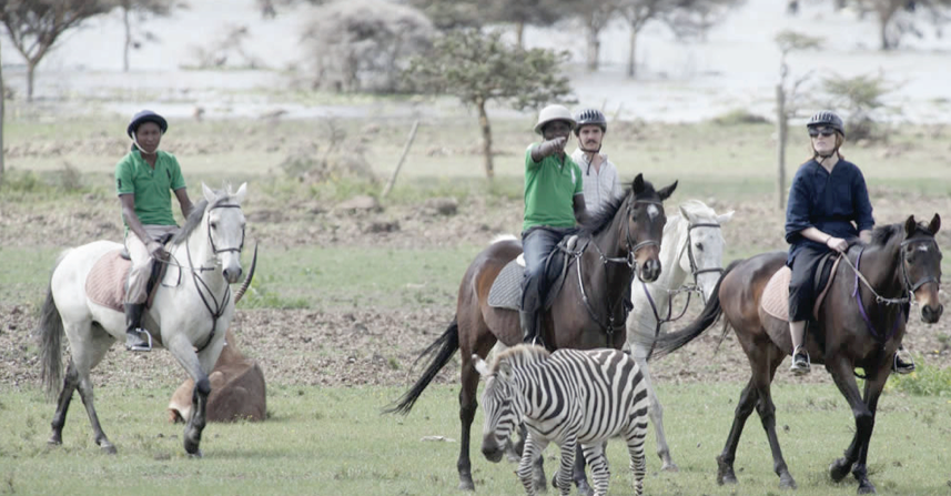 Sanctuary destination with a difference; tour at the Crescent Island and wildlife viewing