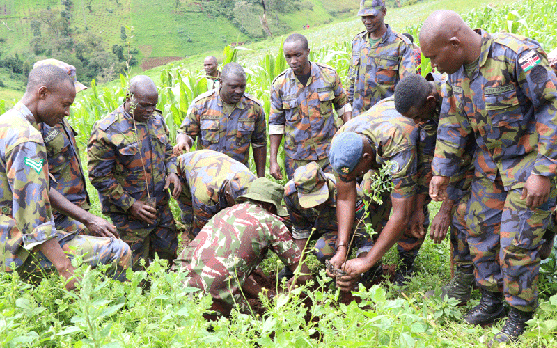 Queen offers helping hand in Mau forest conservation efforts