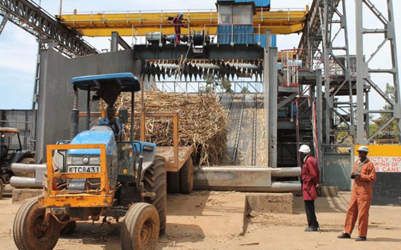 Western, Nyanza MPs call for 16pc tax on imported sugar