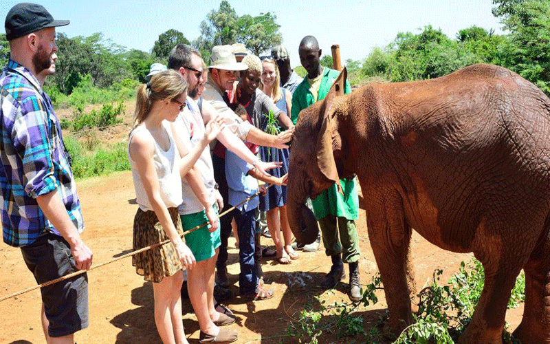 Coronavirus outbreak: Why Kenya tops Africa in exposure