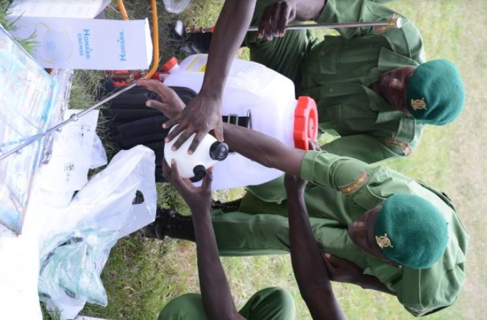 Kenya to recruit state-trained youth to fight desert locusts