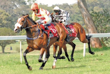 Sercombe stable claim major honours as fireworks are witnessed at Ngong races