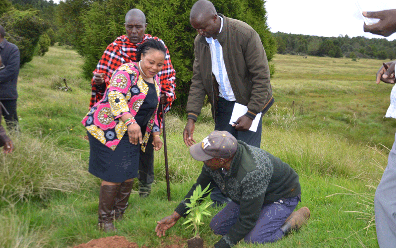 PS: State will rehabilitate Enapuyapui wetland in Mau