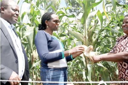 Kiambu county grapples with food deficits