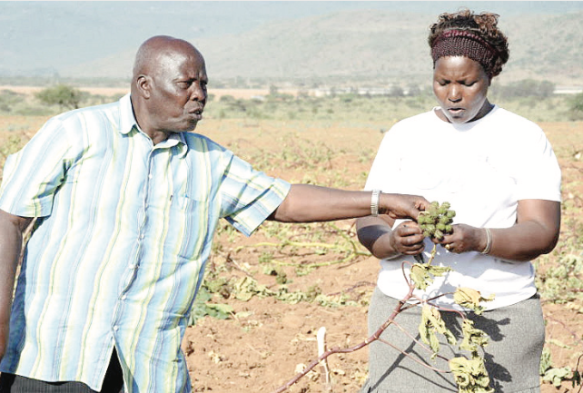 Leaders utterances blamed for invasion of Naivasha farm by youth