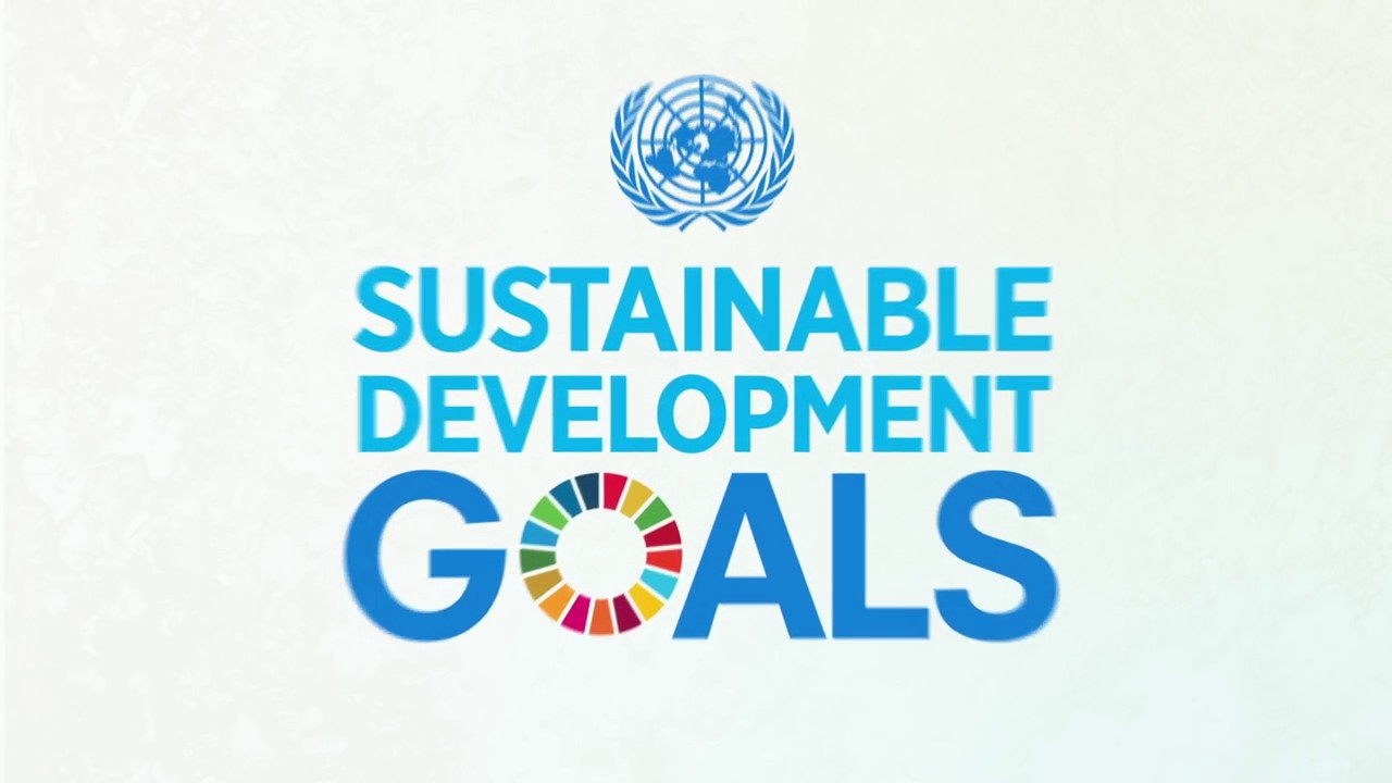 Sustainable businesses key to attaining SDGs