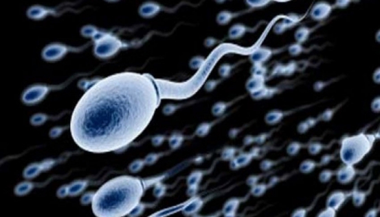 Why women now go for sperm donors, not husbands