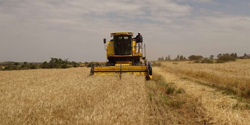 Tycoon’s death upsets family wheat and transport business