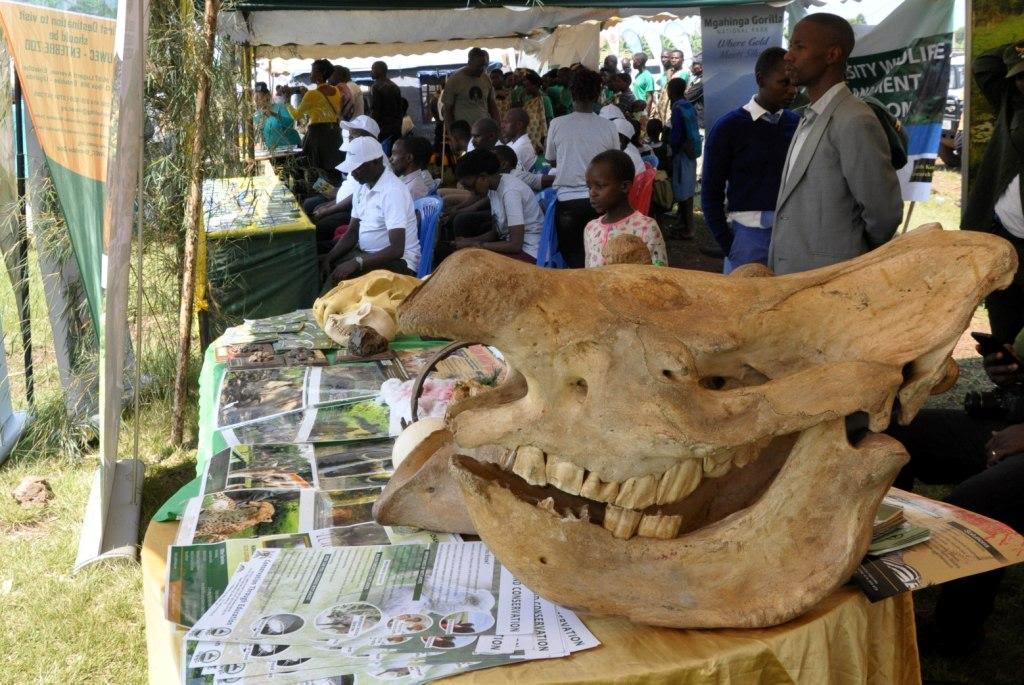 Uganda joins the rest of the world to celebrate UnitedNations’ World Wildlife Day 2